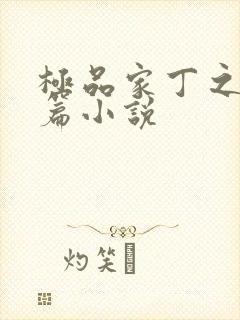 极品家丁之王鹏篇小说