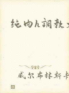 纯肉h调教文封面