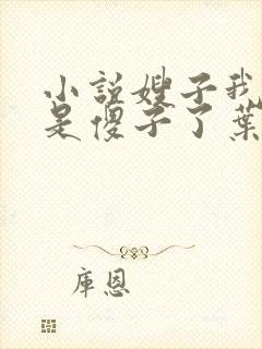 小说嫂子我真不是傻子了叶凡免费全集