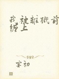 我被离职前上司缠上