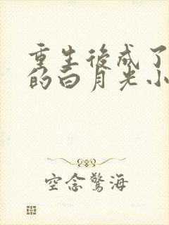 重生后成了皇帝的白月光小说免费阅读无弹窗封面