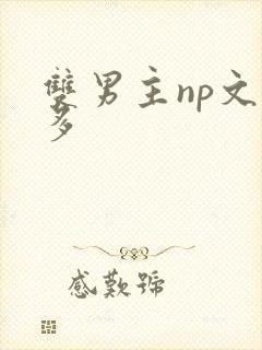 双男主np文肉多