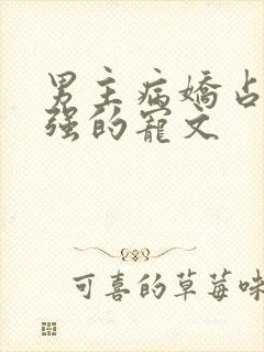 男主病娇占有欲强的宠文