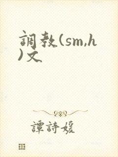 调教(sm,h)文