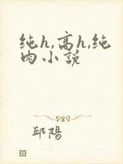 纯h,高h,纯肉小说