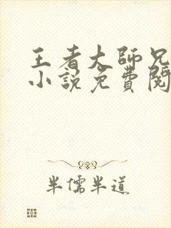 王者大师兄原著小说免费阅读全文封面