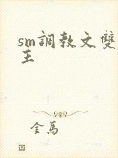 sm调教文双男主