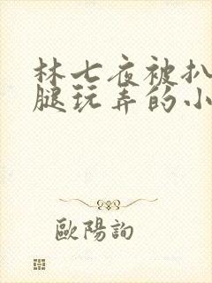 林七夜被扒开双腿玩弄的小说