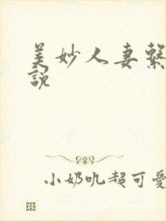 美妙人妻系列小说