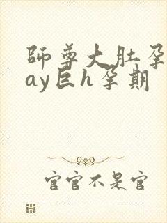 师尊大肚孕play巨h孕期封面