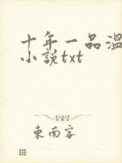 十年一品温如言小说txt封面