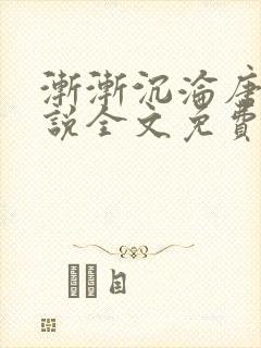 渐渐沉沦唐浪小说全文免费阅读封面