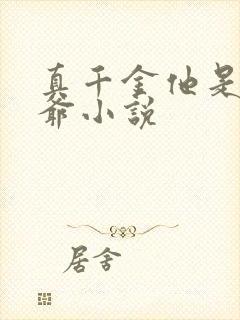 真千金他是假少爷小说