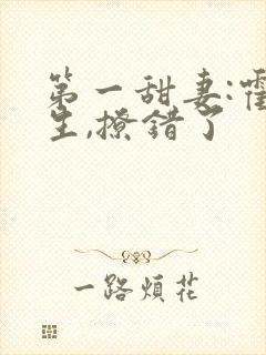 第一甜妻:霍先生,撩错了