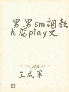 男男sm调教高h腐play文
