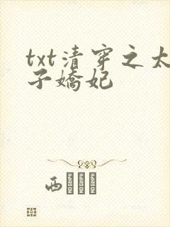 txt清穿之太子娇妃