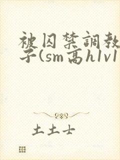 被囚禁调教的日子(sm高h1v1