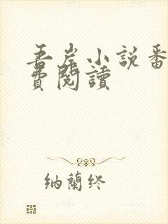 吾岸小说番外免费阅读