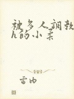 被多人调教失禁h的小柔