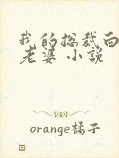 我的总裁白富美老婆 小说