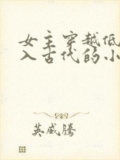 女主穿越低调融入古代的小说封面