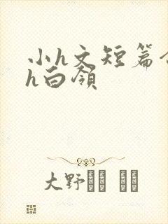 小h文短篇合集h白领封面