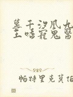 慕千汐凰九夜邪王嗜宠鬼医狂妃免费阅读