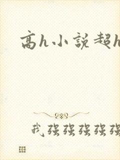 高h小说超h