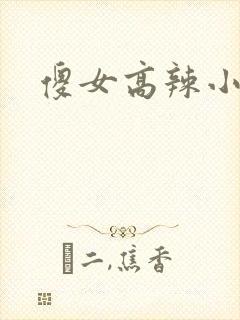 傻女高辣小h文