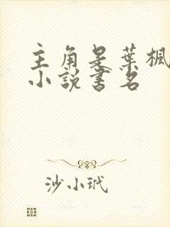 主角是叶枫都市小说书名