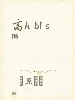 高h bl sm
