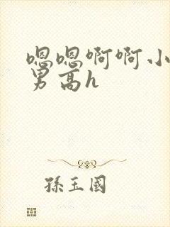 嗯嗯啊啊小说男男高h