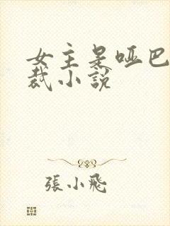 女主是哑巴的总裁小说封面