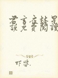 君玄夜林星瑶小说免费阅读封面