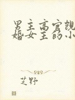 男主高官觊觎已婚女主的小说