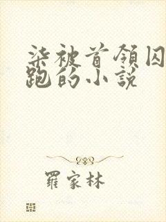 柒被首领囚禁逃跑的小说