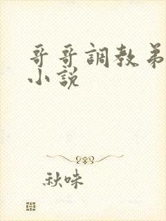 哥哥调教弟弟的小说