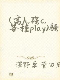 (高h,强c,各种play)骚话小说
