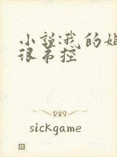 小说:我的姐姐很弟控