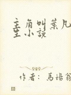 主角叫叶凡的重生小说