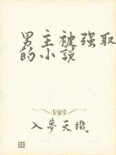 男主被强取豪夺的小说