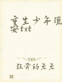 重生少年猎美赵安txt