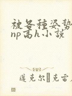 被各种姿势玩弄np高h小说