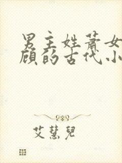 男主姓萧女主姓顾的古代小说封面