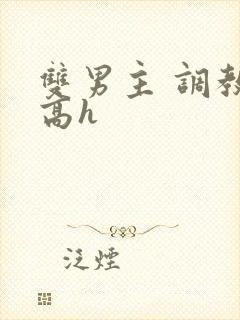 双男主 调教 高h