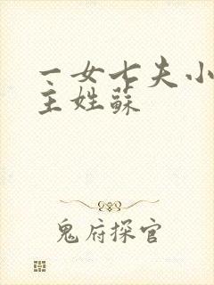 一女七夫小说女主姓苏