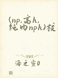 (np,高h,纯肉nph)校园