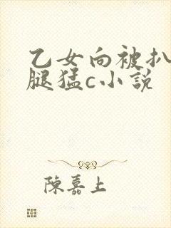 乙女向被扒开双腿猛c小说