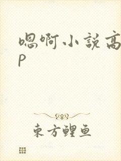 嗯啊小说高hnp封面