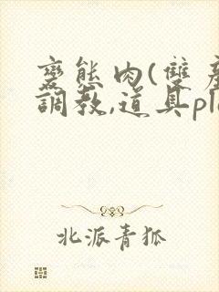 变态肉(双产,调教,道具play)小说